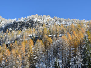 10/11/2019 da casera Campotorondo 1763 m.